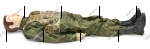 29 " "   , -    - -  